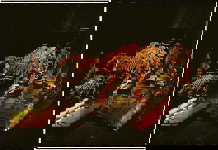 Un nuevo museo dedicado al mar abre sus puertas en Málaga